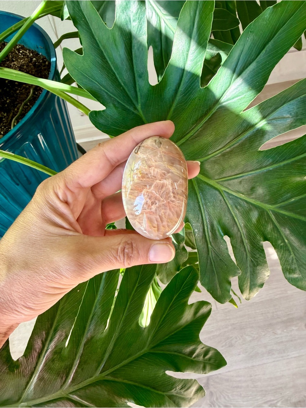 Peach Moonstone Palmstone from Madagascar